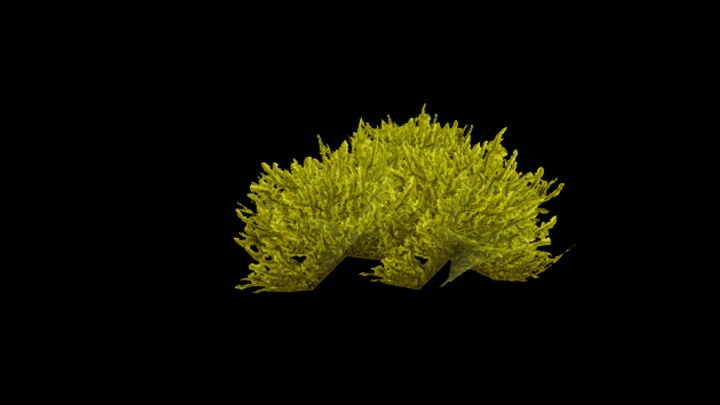 UE项目资源_模型资源_苔藓010