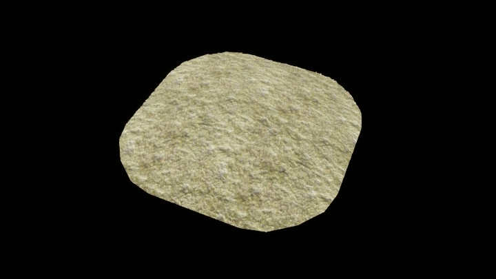 UE项目资源_模型资源_苔藓011