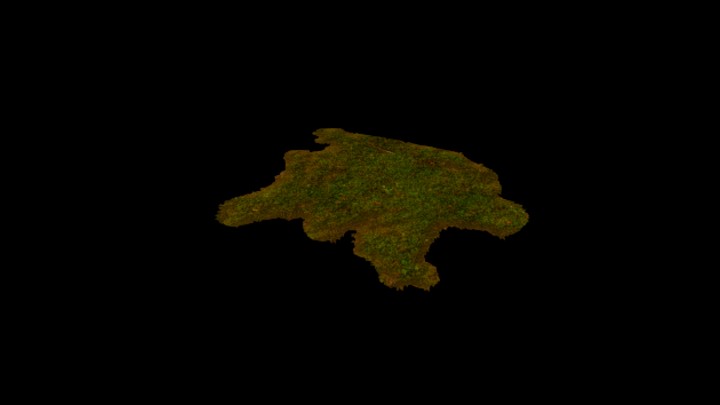 UE项目资源_模型资源_苔藓015