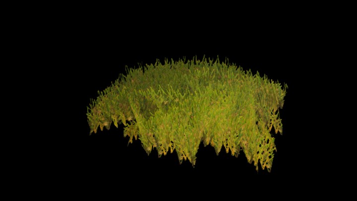 UE项目资源_模型资源_苔藓017