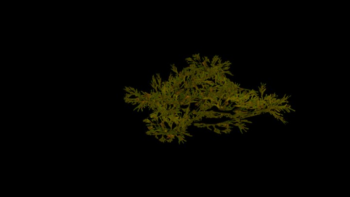 UE项目资源_模型资源_苔藓020