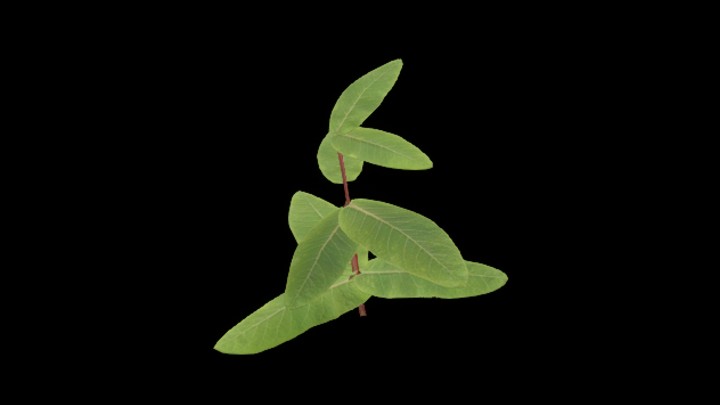 UE项目资源_模型资源_草1957