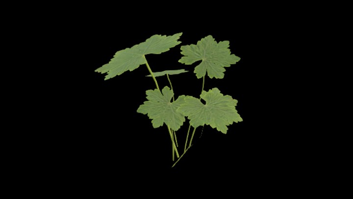 UE项目资源_模型资源_草1959