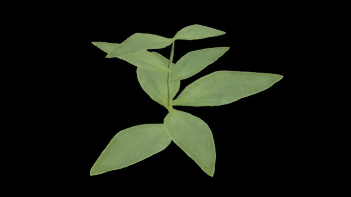 UE项目资源_模型资源_草1975