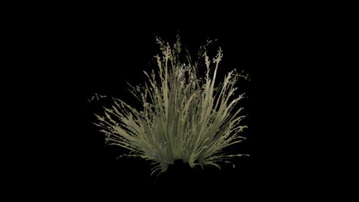 UE项目资源_模型资源_草1977