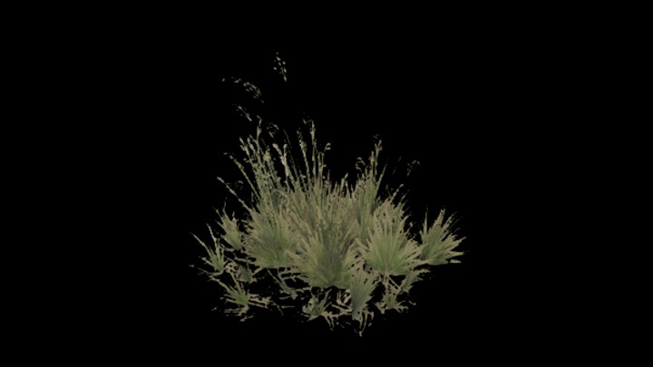 UE项目资源_模型资源_草1978