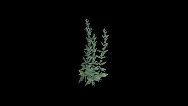 UE项目资源_模型资源_草1988