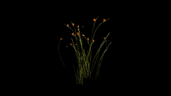 UE项目资源_模型资源_草1992