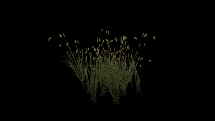 UE项目资源_模型资源_草2001