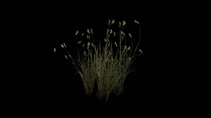 UE项目资源_模型资源_草2002