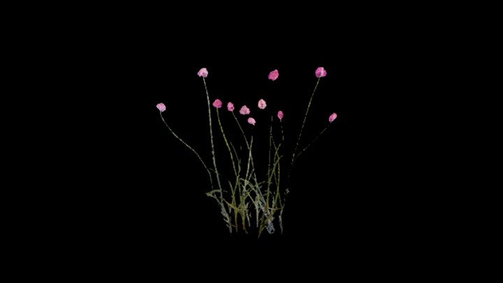 UE项目资源_模型资源_草2015