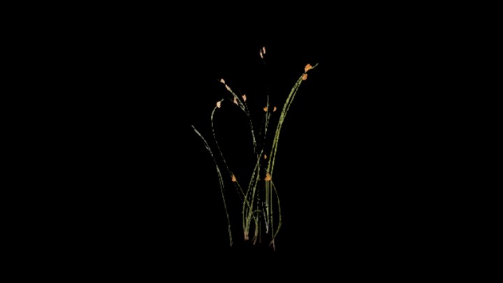 UE项目资源_模型资源_草2018