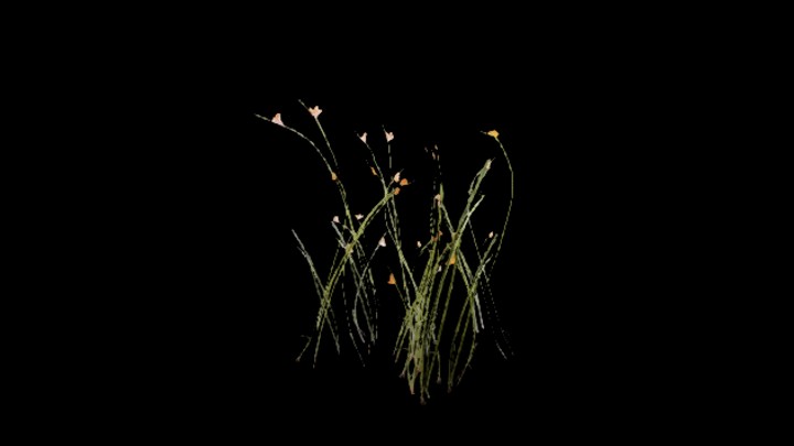 UE项目资源_模型资源_草2019