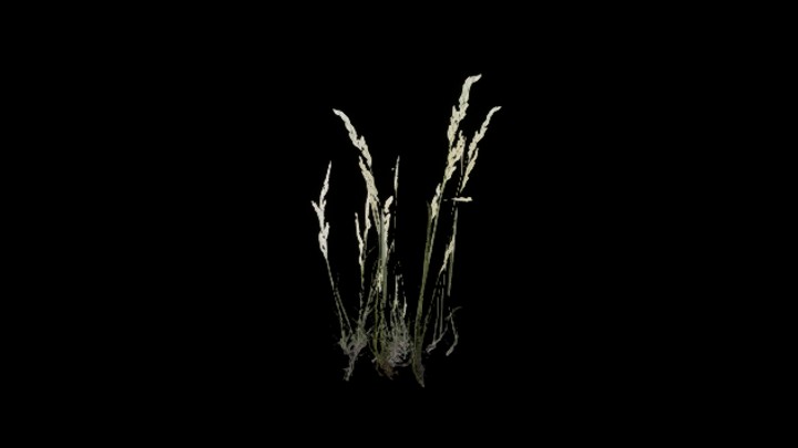 UE项目资源_模型资源_草2022