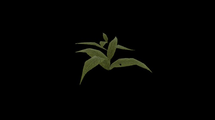 UE项目资源_模型资源_草2036