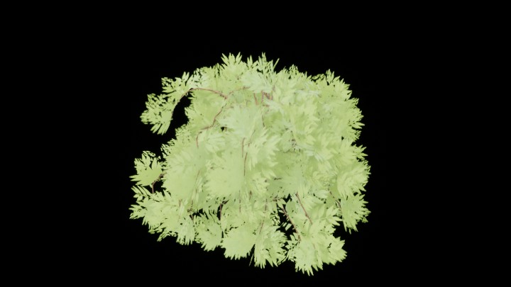 UE项目资源_模型资源_草2039