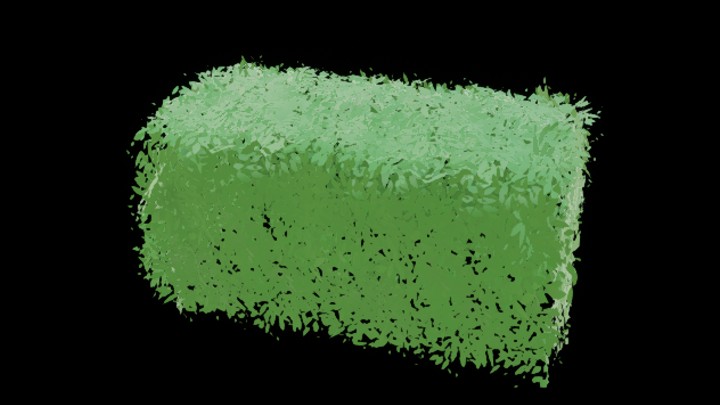 UE项目资源_模型资源_草2040