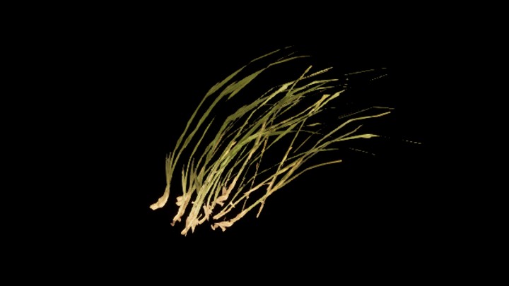 UE项目资源_模型资源_草2059