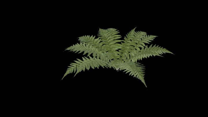 UE项目资源_模型资源_草2077