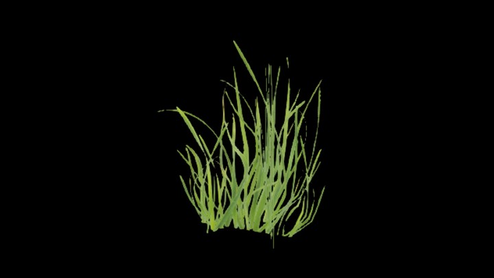 UE项目资源_模型资源_草2122