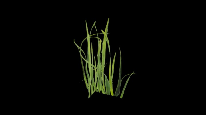 UE项目资源_模型资源_草2129