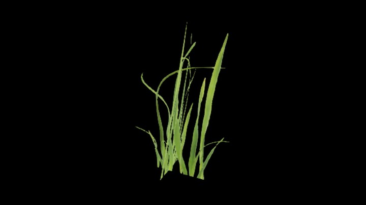 UE项目资源_模型资源_草2131