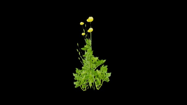 UE项目资源_模型资源_草2165