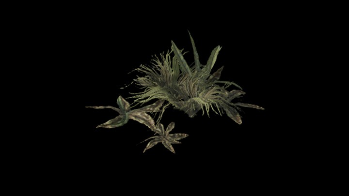 UE项目资源_模型资源_草2187