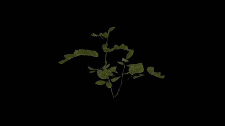 UE项目资源_模型资源_草2197