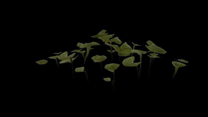 UE项目资源_模型资源_草2204