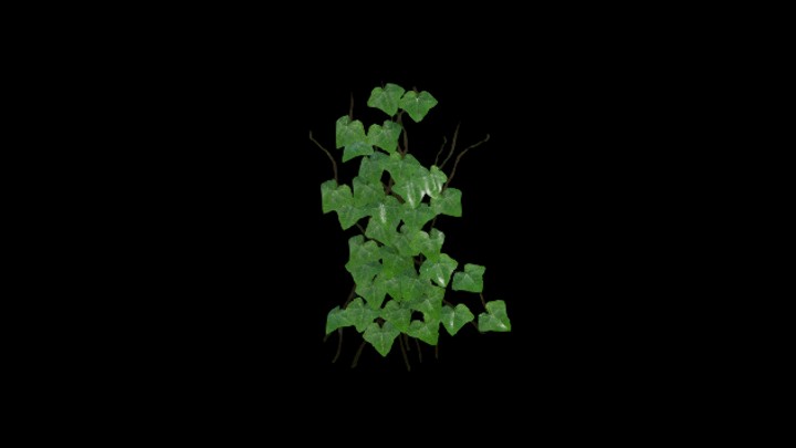 UE项目资源_模型资源_草2214