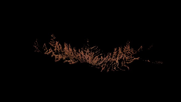 UE项目资源_模型资源_草2225