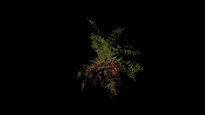 UE项目资源_模型资源_草2226