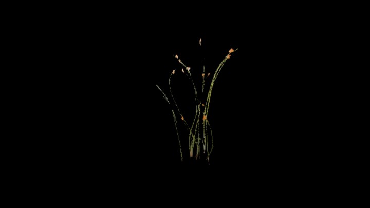 UE项目资源_模型资源_草2232