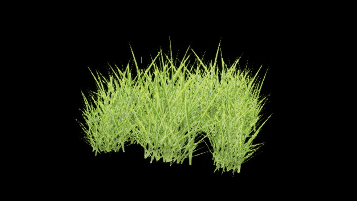 UE项目资源_模型资源_草2248