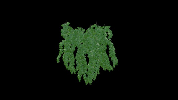 UE项目资源_模型资源_草2256