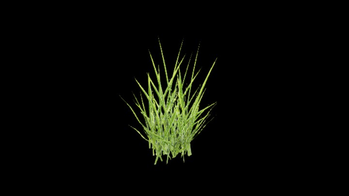 UE项目资源_模型资源_草2265