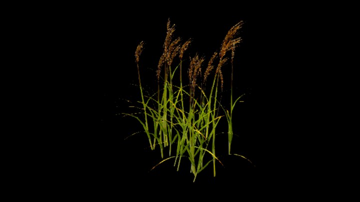 UE项目资源_模型资源_草2275