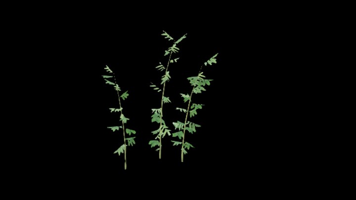 UE项目资源_模型资源_草2278