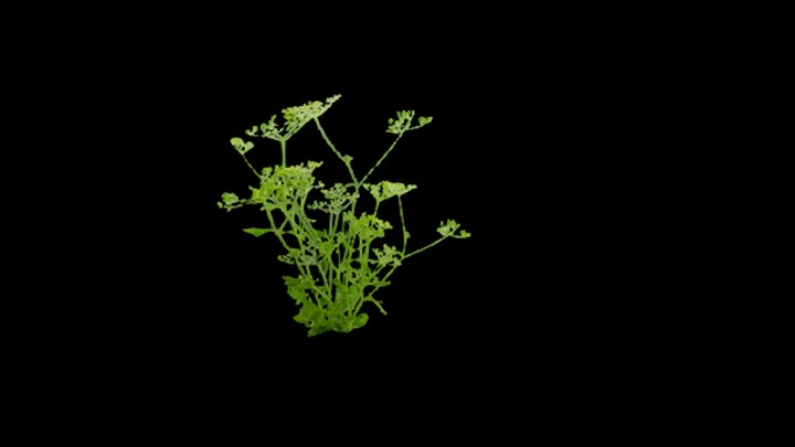 UE项目资源_模型资源_草2288