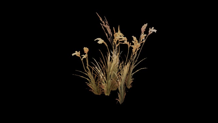 UE项目资源_模型资源_草2310