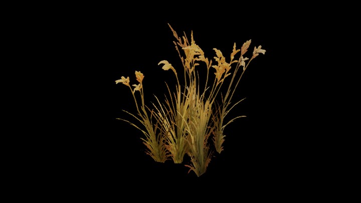 UE项目资源_模型资源_草2311