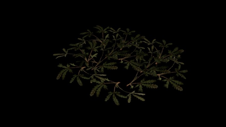 UE项目资源_模型资源_草2329