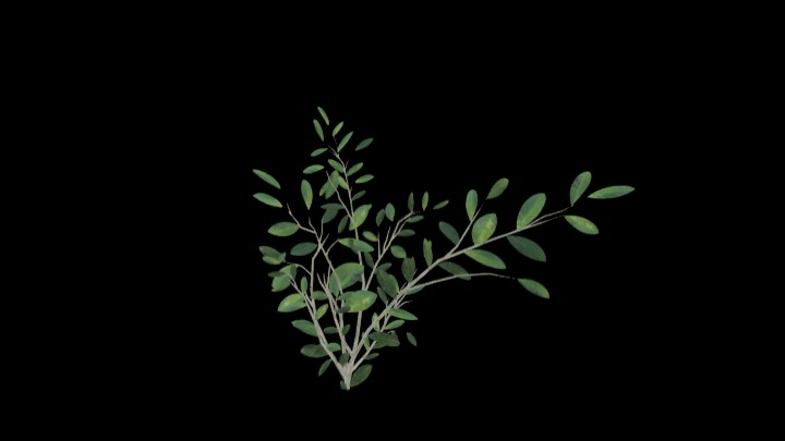 UE项目资源_模型资源_草2355