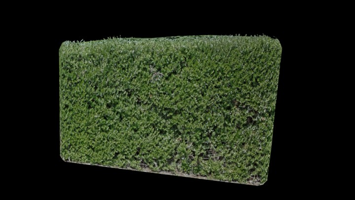 UE项目资源_模型资源_草2367