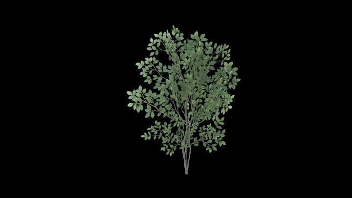 UE项目资源_模型资源_草2370