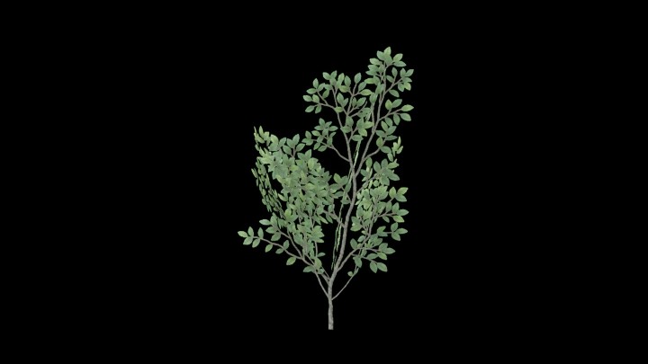 UE项目资源_模型资源_草2371