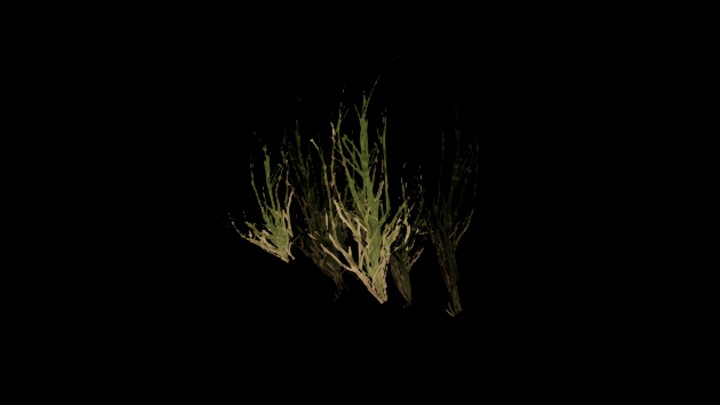 UE项目资源_模型资源_草2462