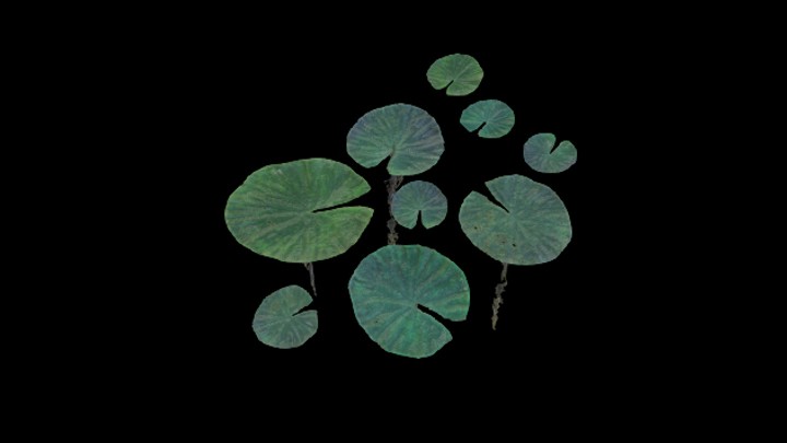 UE项目资源_模型资源_荷叶004