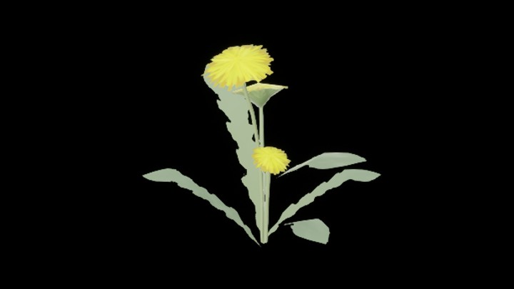 UE项目资源_模型资源_蒲公英花001